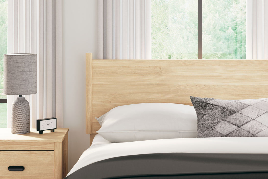 Cabinella - Queen Panel Headboard - Tan